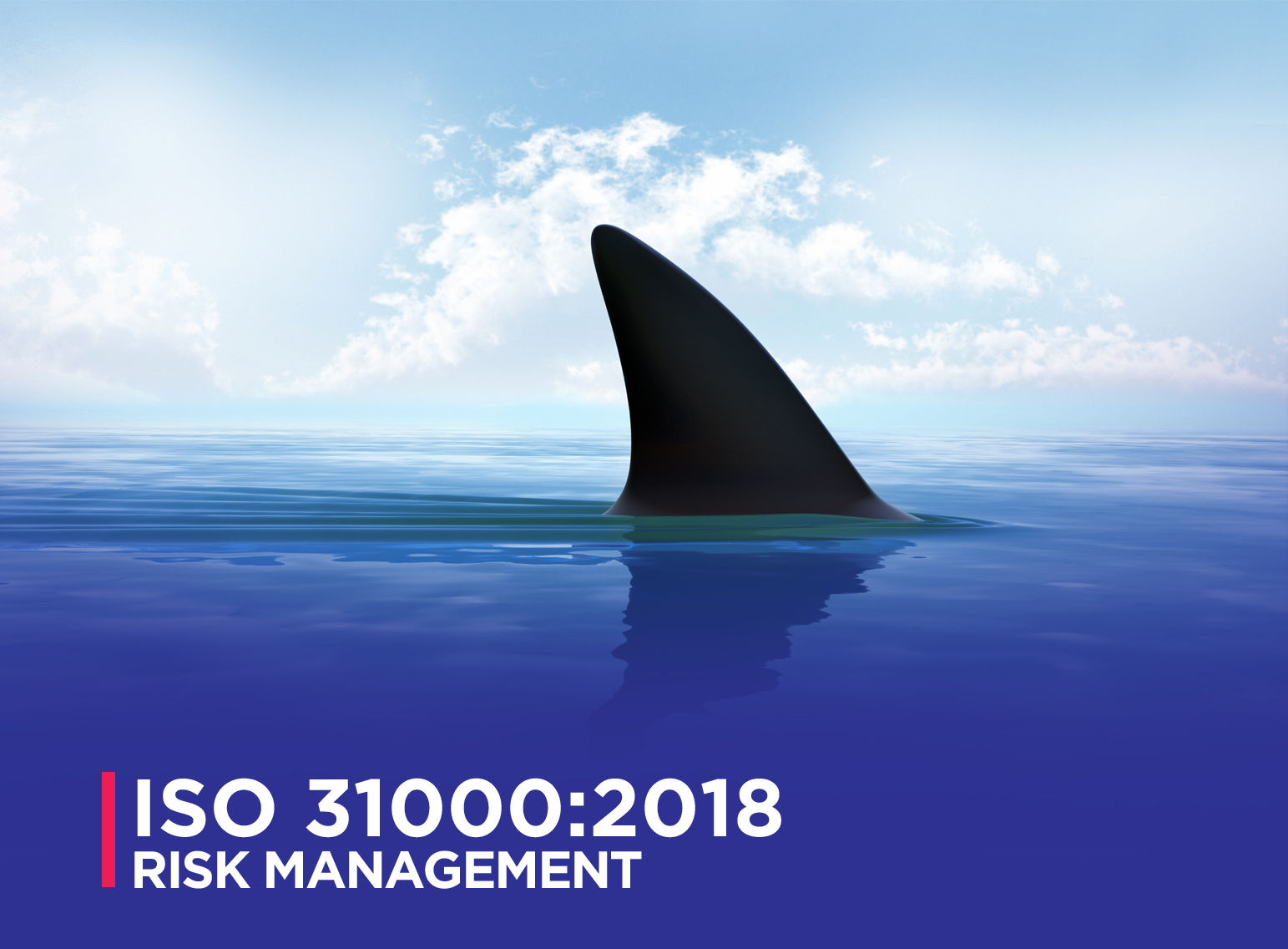 https://www.sabcert.com/wp-content/uploads/2020/09/ISO-31000-risk-management-copy-2.jpg